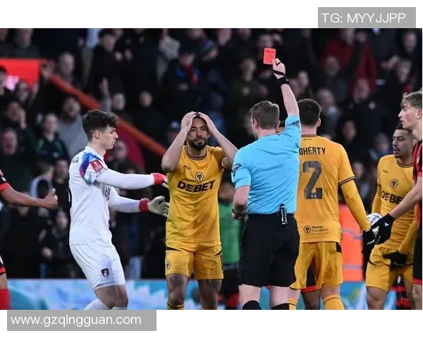 埃弗顿与狼队激战成和比分揭晓精彩瞬间回顾